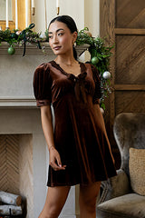 Roxanna Velvet Mini Dress in Brown