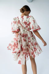 Tamlyn Floral Mini Dress in Red