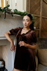 Roxanna Velvet Mini Dress in Brown